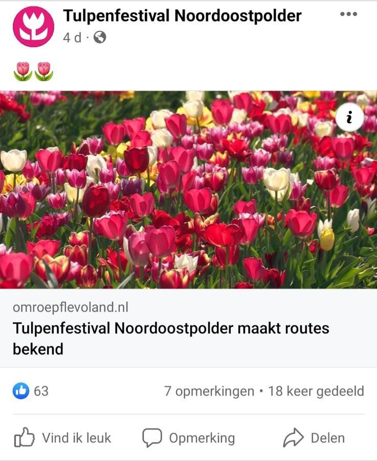 Vakantiehuis Aan Het Bos - Gelegen Aan De Tulpenroute Bant ภายนอก รูปภาพ